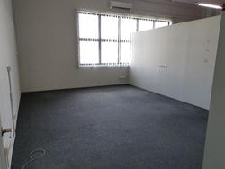 Focus One (D14), Factory #221575791